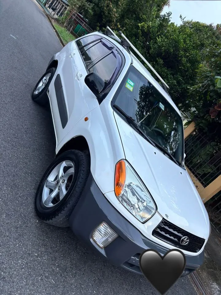 2002 Toyota RAV4
