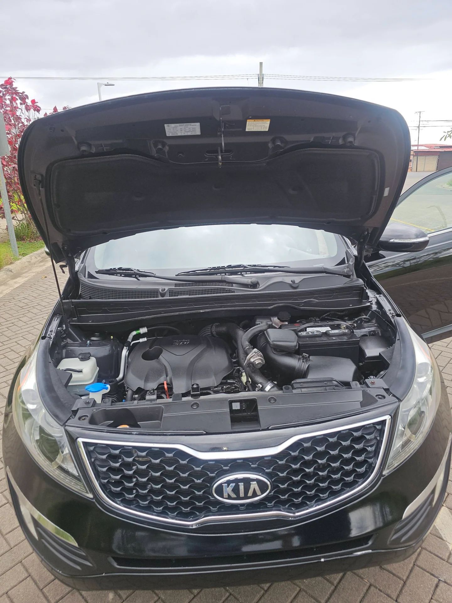 Kia Sportage - Image 2