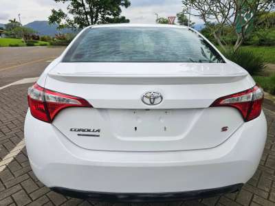 Toyota Corolla - Image 6