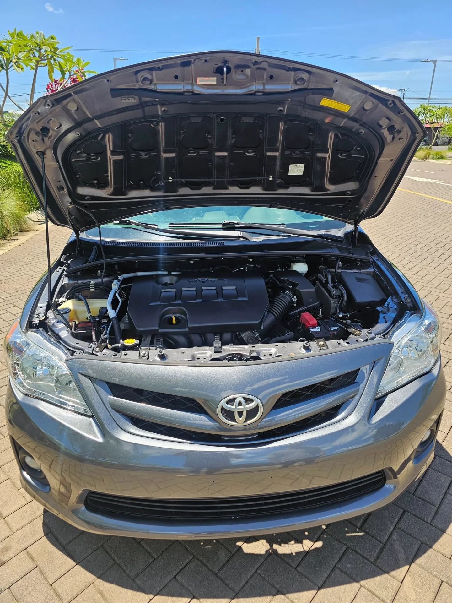 Toyota Corolla - Image 8