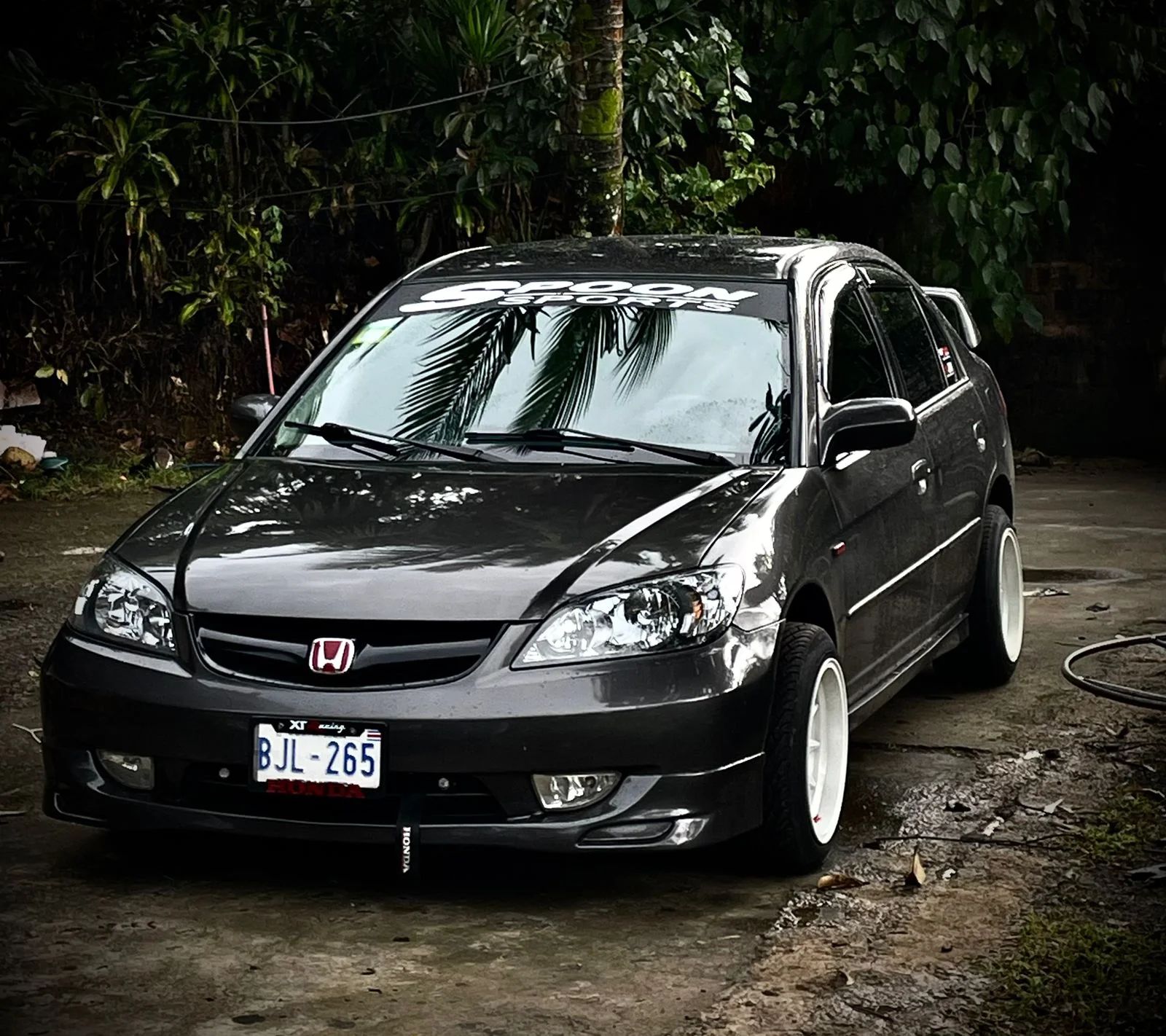 Honda Civic - Image 5