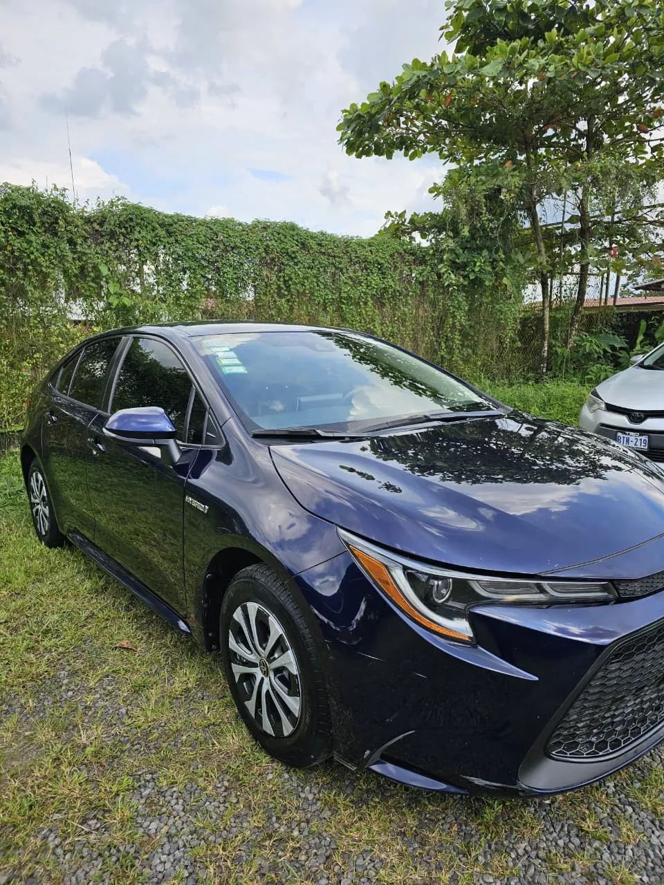 Toyota Corolla - Image 1