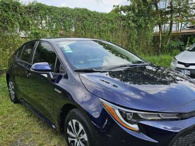 Toyota Corolla - Image 1