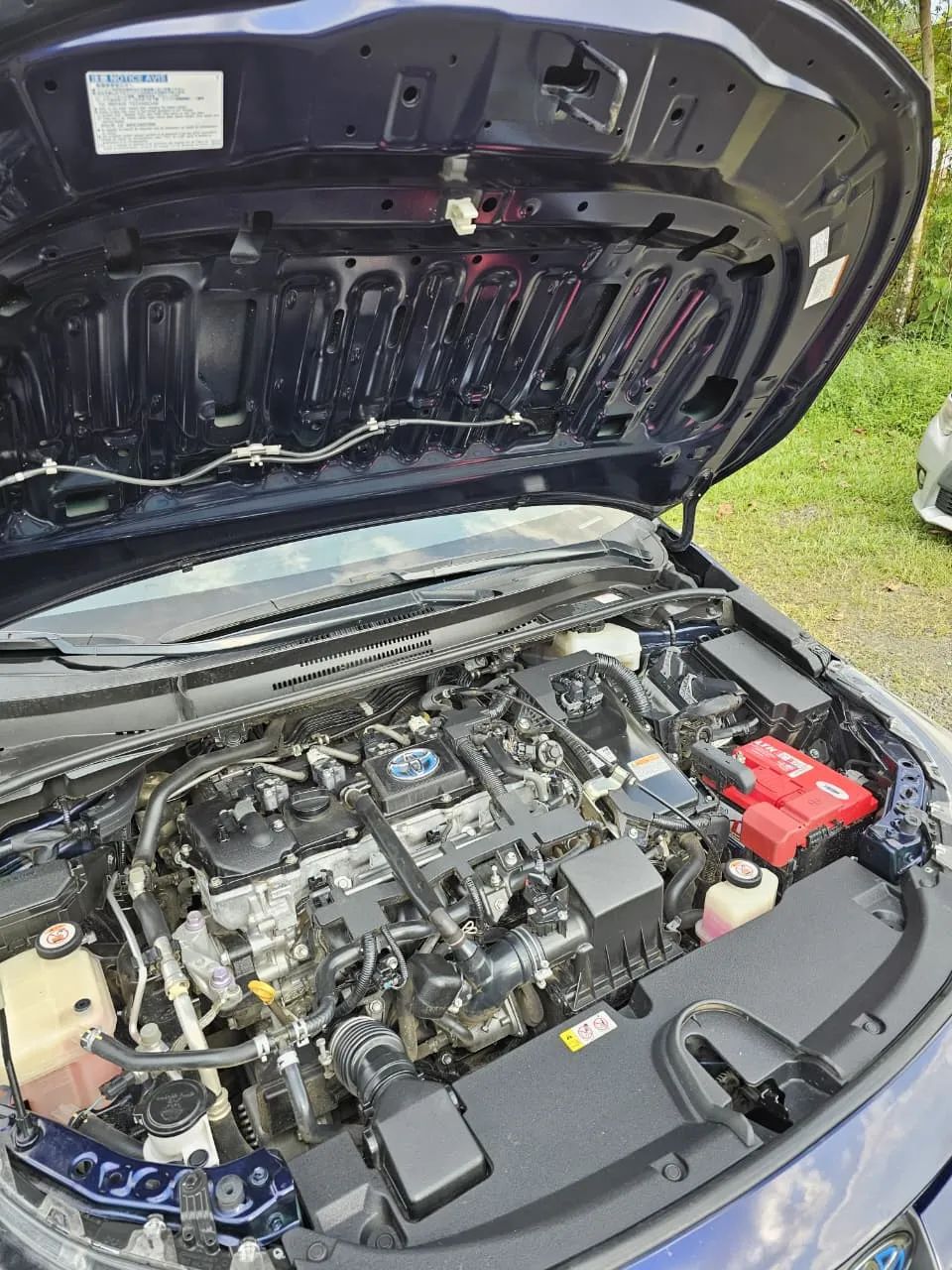 Toyota Corolla - Image 2