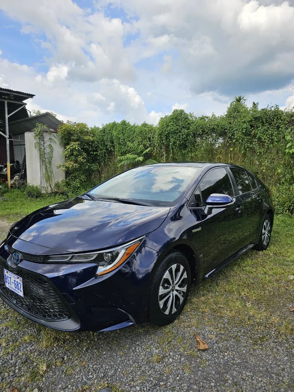 Toyota Corolla - Image 3