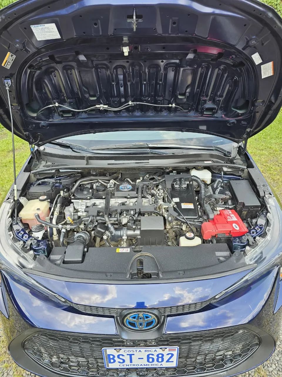 Toyota Corolla - Image 6