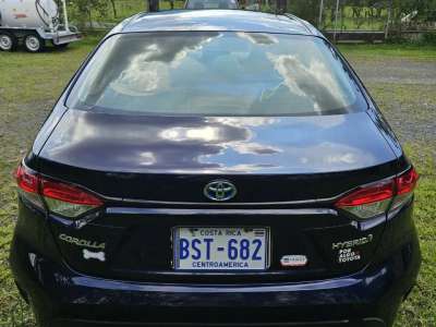 Toyota Corolla - Image 7