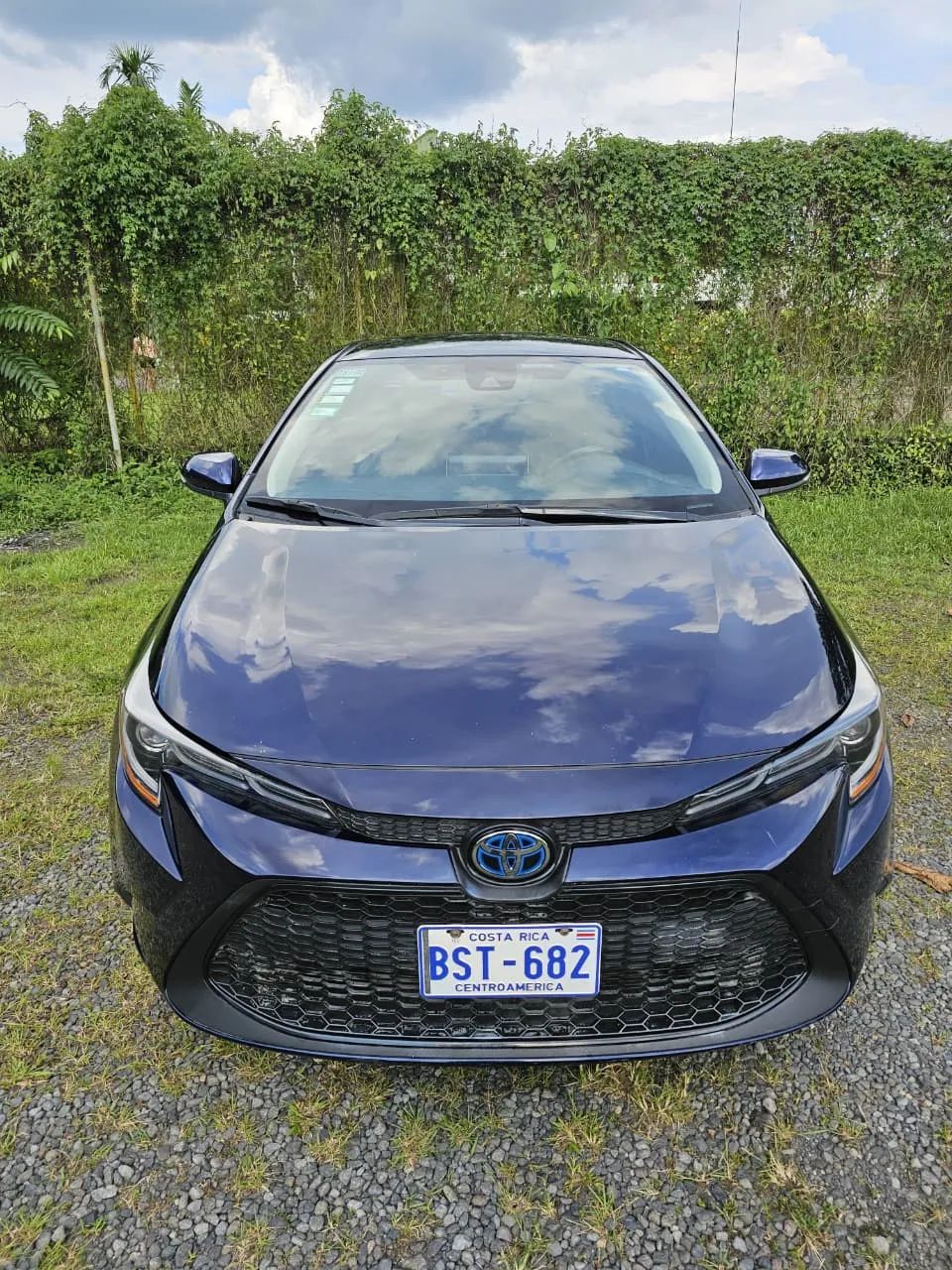 Toyota Corolla - Image 8