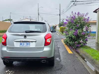 Ssangyong Korando - Image 1