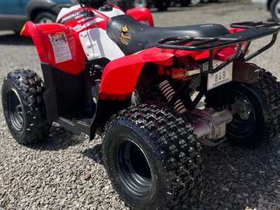 Polaris Phoenix 200 CRC - Image 1