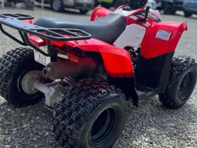 Polaris Phoenix 200 CRC - Image 3