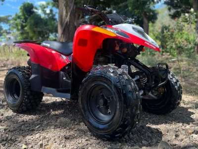 Polaris Phoenix 200 CRC - Image 5