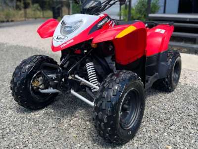 Polaris Phoenix 200 CRC - Image 6