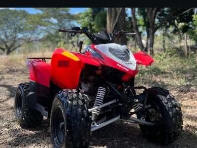 Polaris Phoenix 200 CRC - Image 7