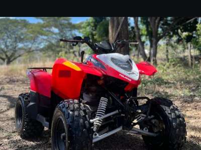Polaris Phoenix 200 CRC - Image 8