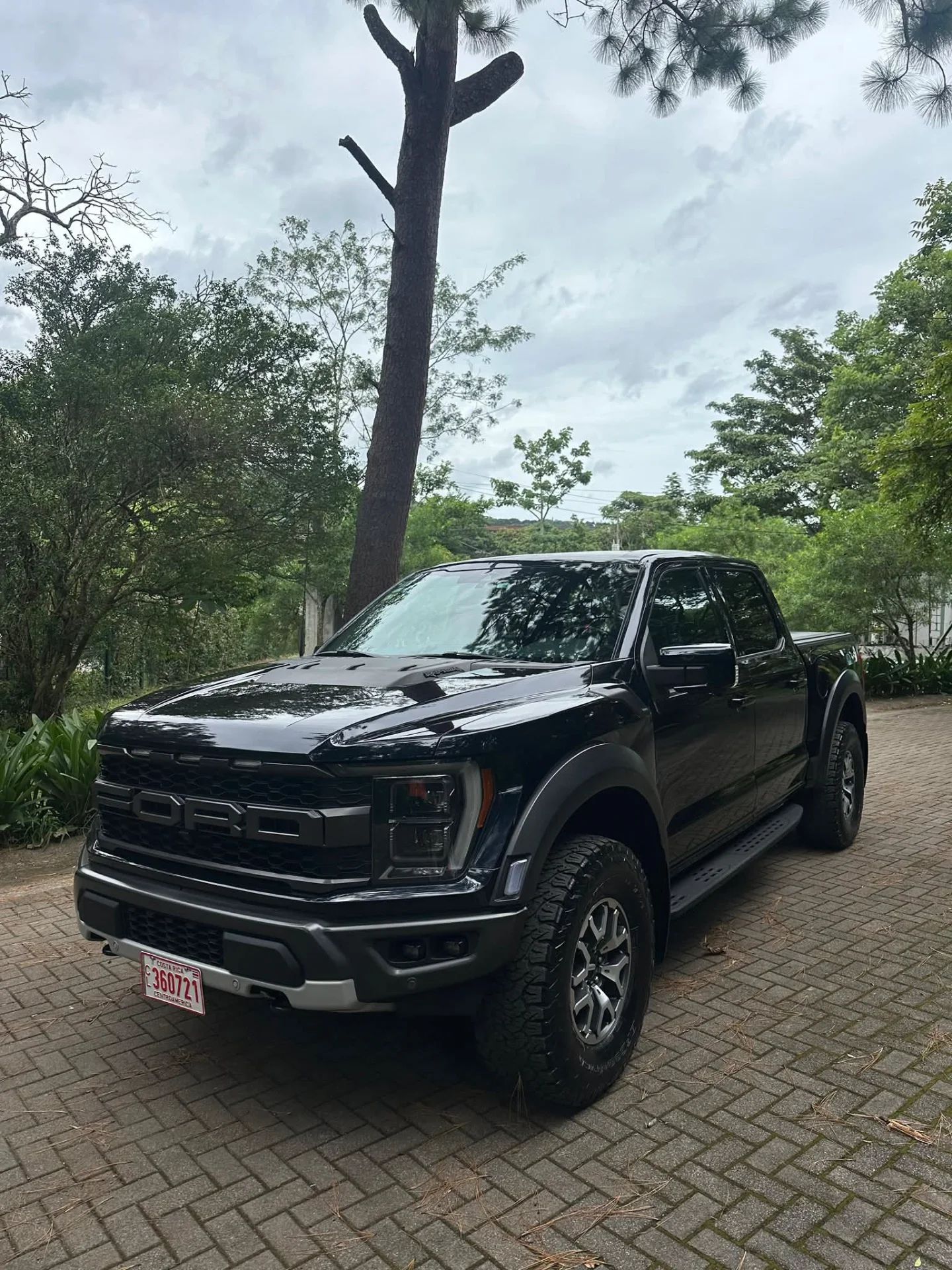 Ford Raptor - Image 2