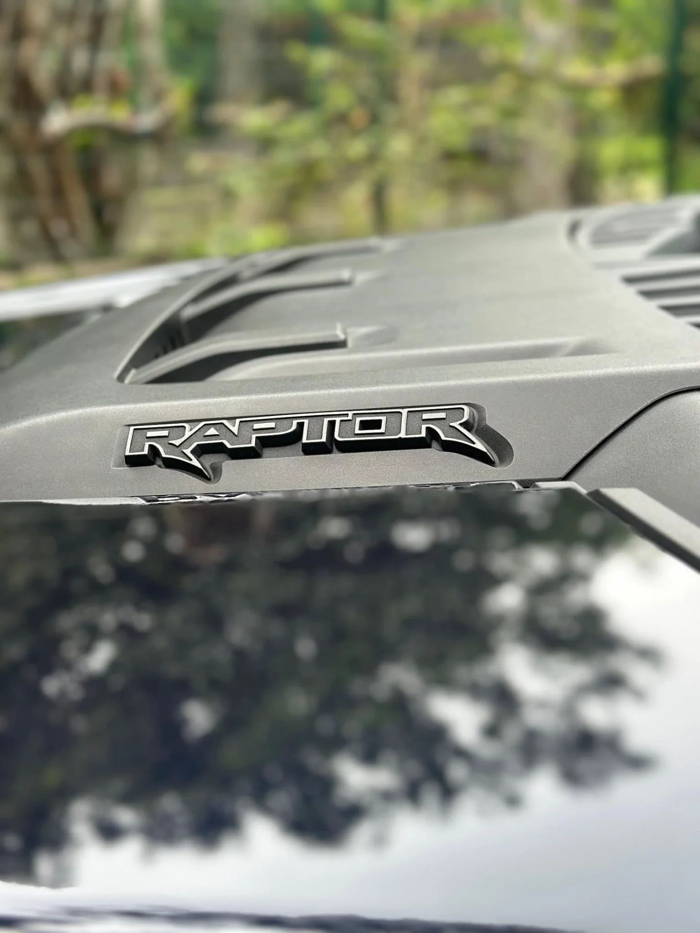 Ford Raptor - Image 6