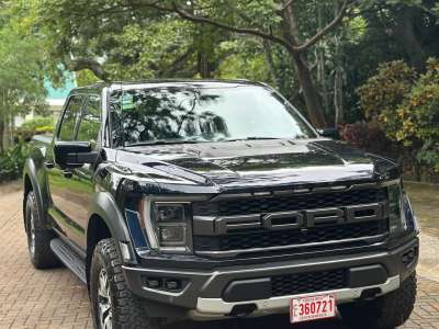 Ford F-150 Raptor - Image 1