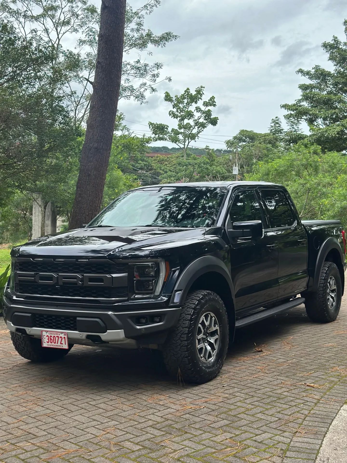 Ford F-150 Raptor - Image 2