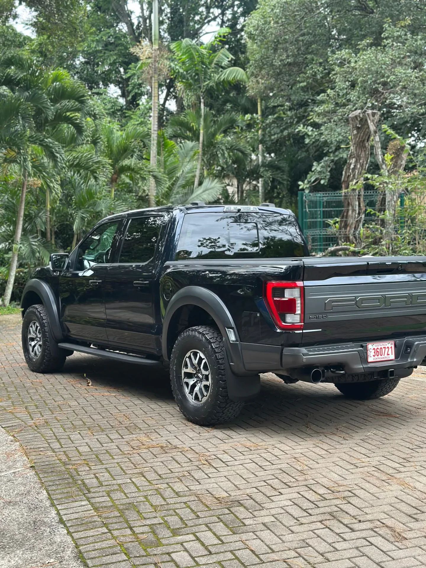 Ford F-150 Raptor - Image 3
