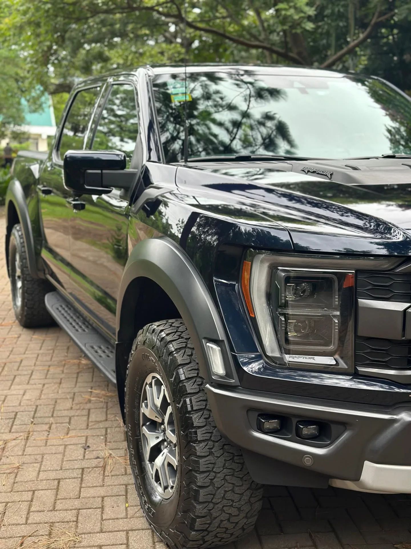 Ford F-150 Raptor - Image 4