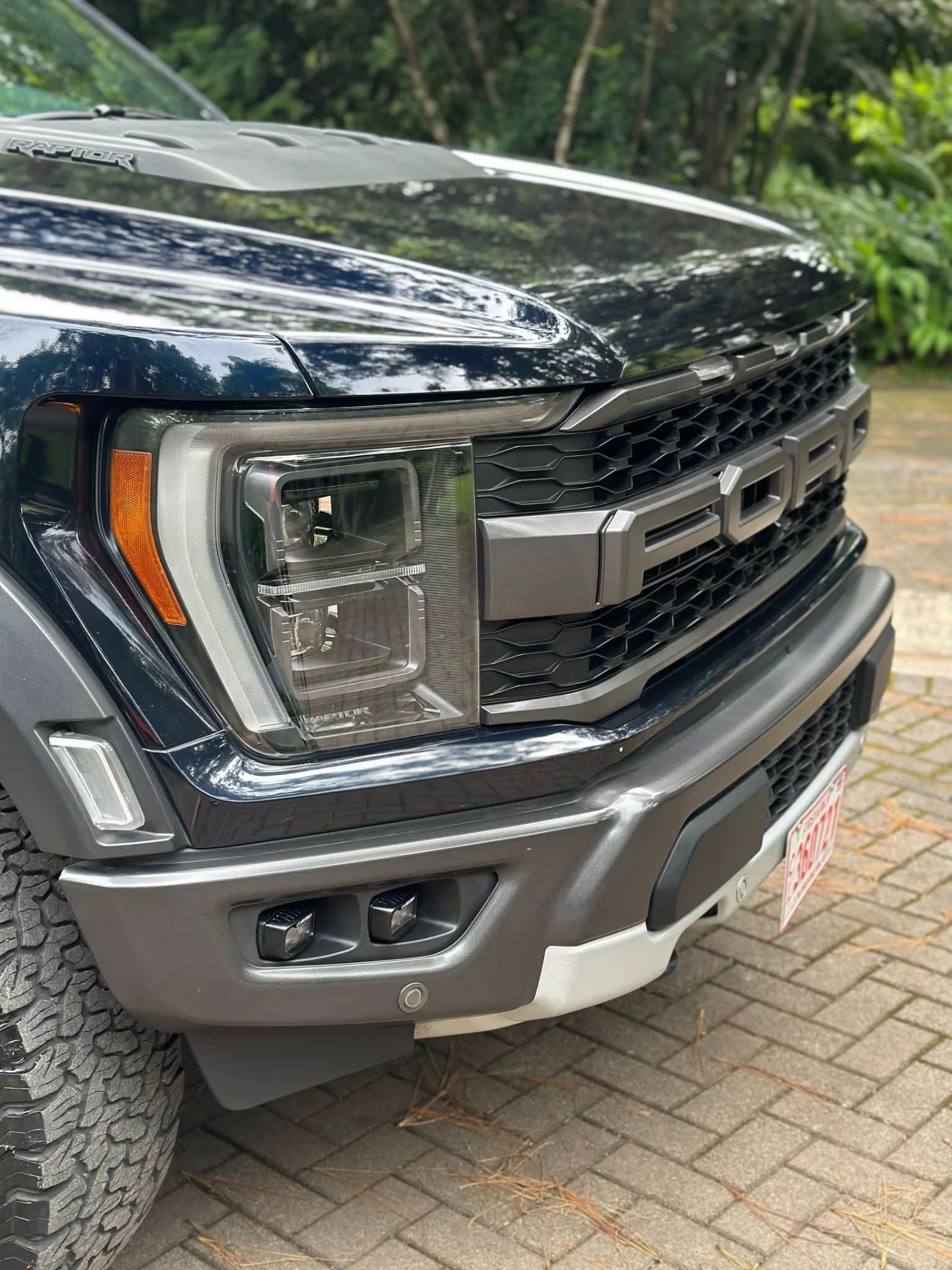 Ford F-150 Raptor - Image 7