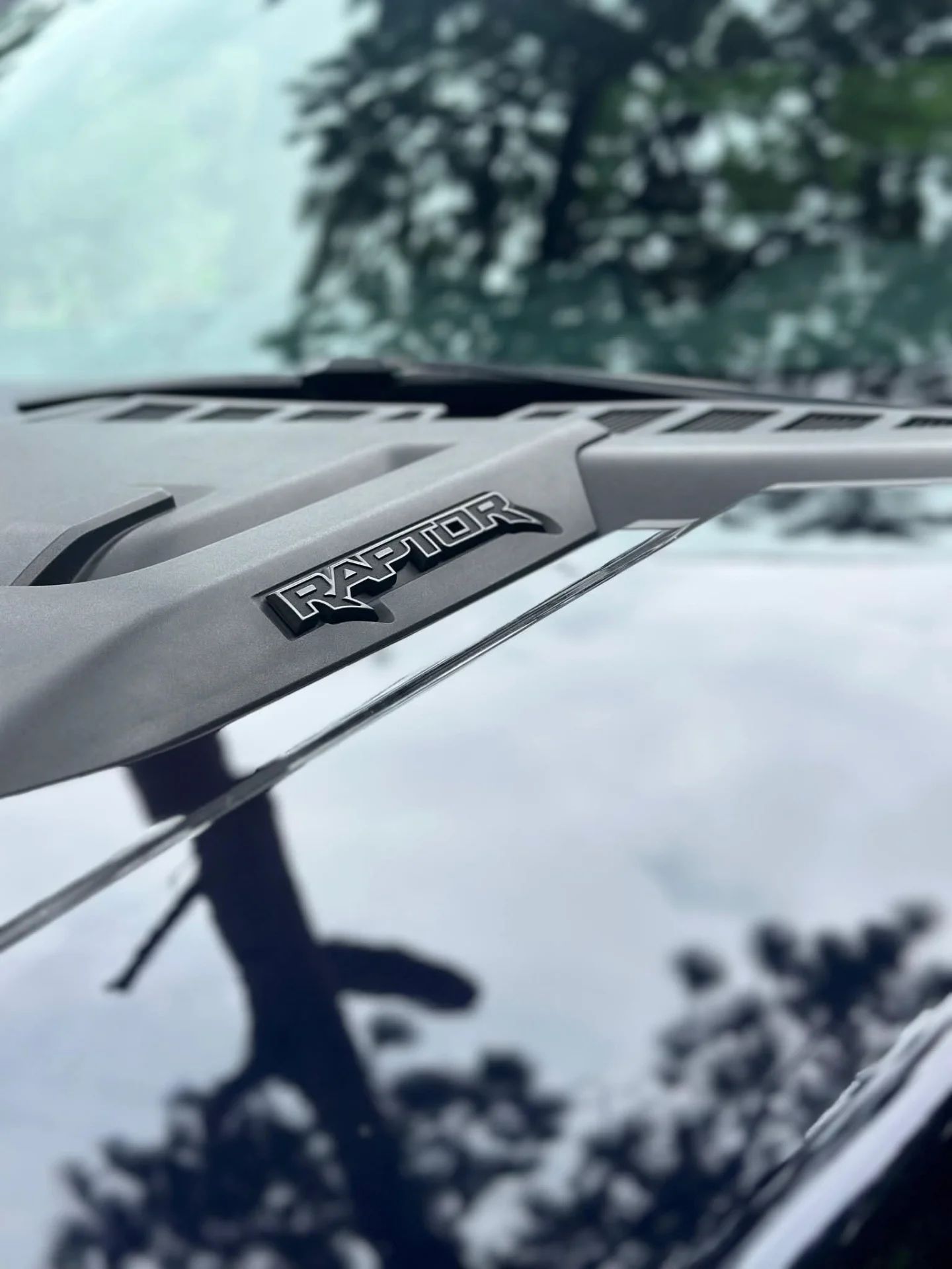 Ford F-150 Raptor - Image 8