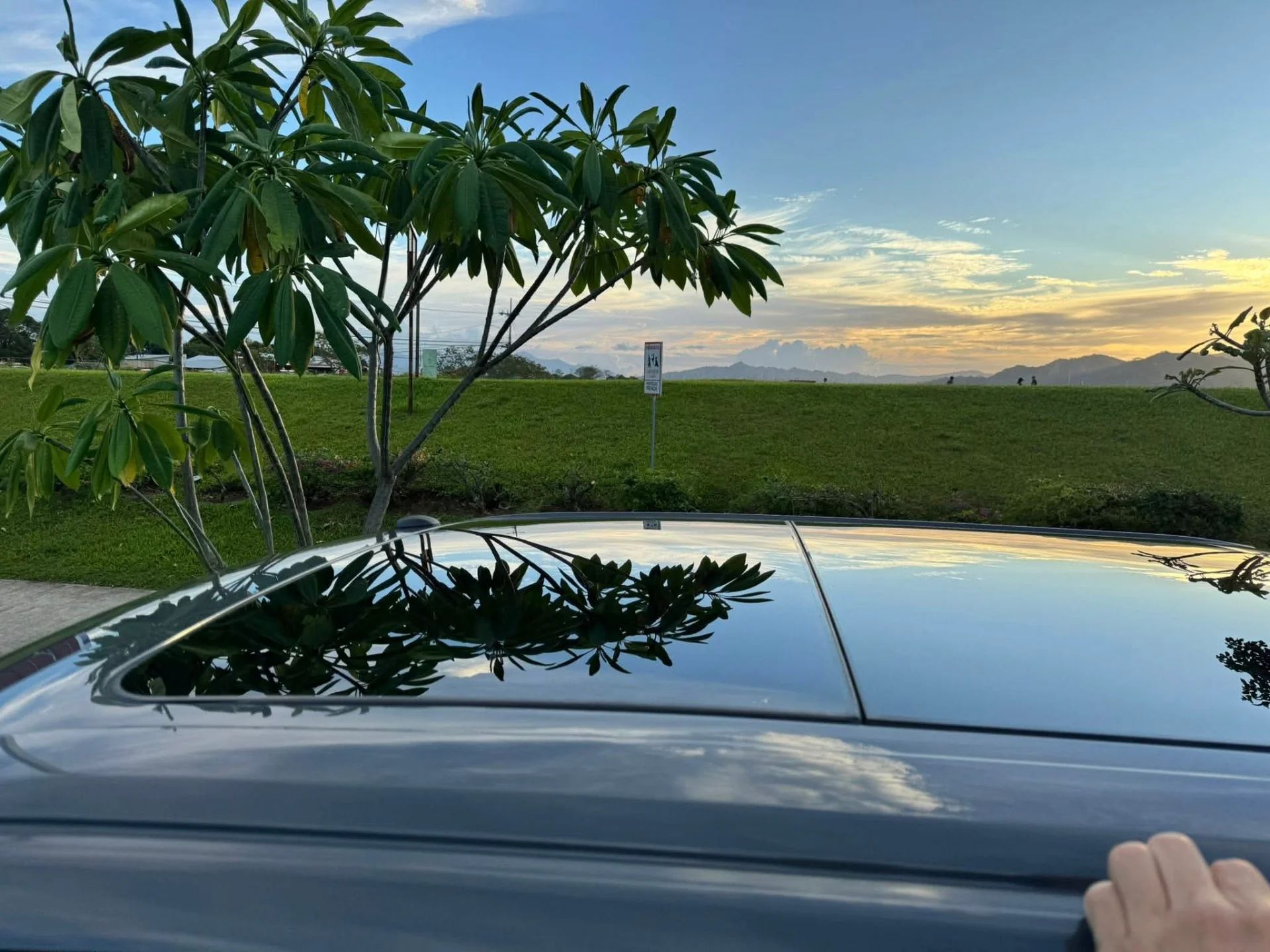 Ford Raptor - Image 13