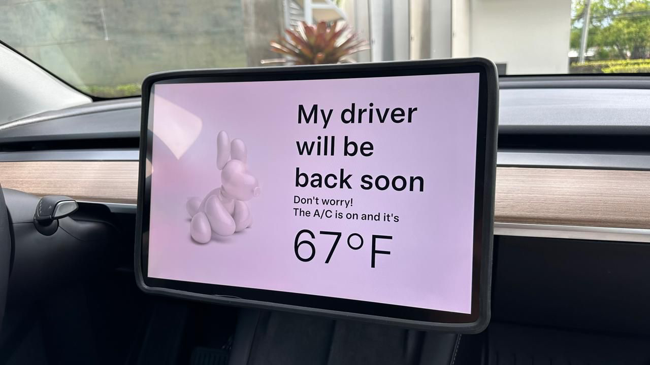 Tesla Model Y - Image 11
