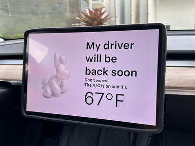 Tesla Model Y - Image 11