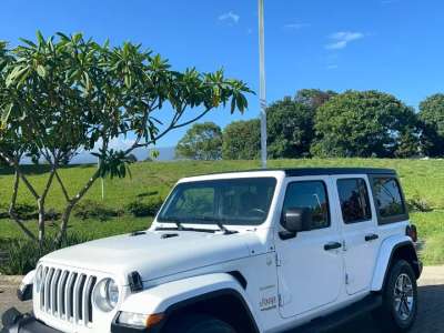 Jeep Wrangler Sahara - Image 4