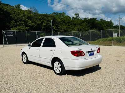 Toyota Corolla - Image 4