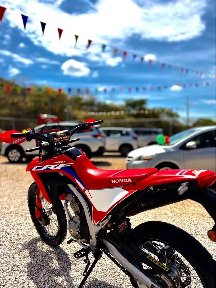 Honda CRF 300L - Image 3