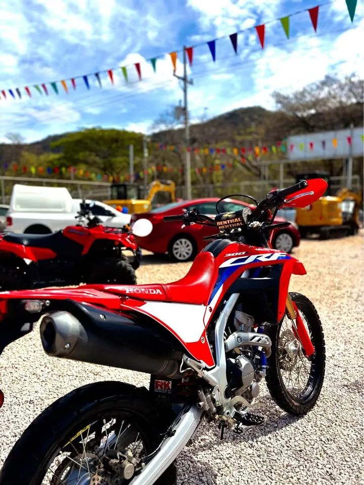 Honda CRF 300L - Image 4