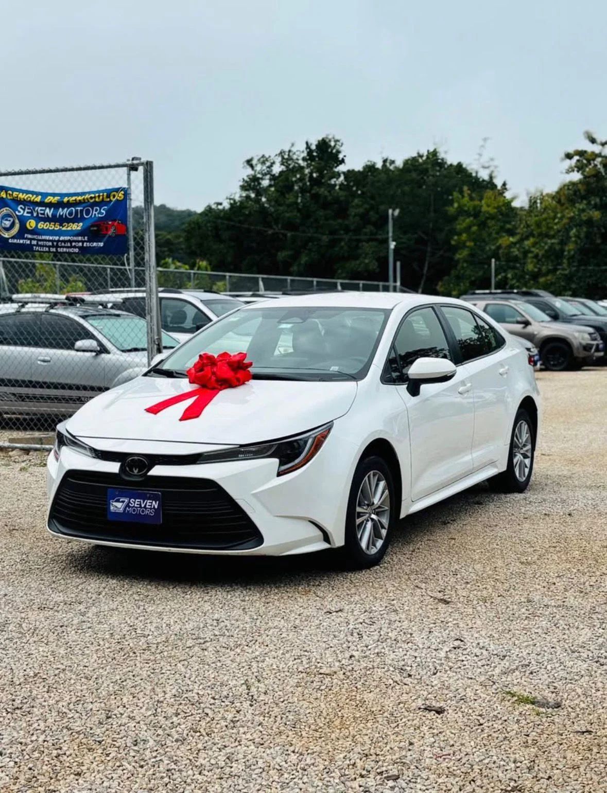 Toyota Corolla - Image 3